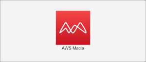 AWS Macieの機能とユースケースの概要：AWS認定試験対策に向け | AWS実践スタジオ